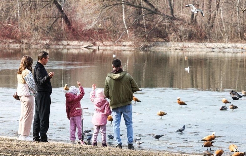 Взрослые и дети возле водоёма