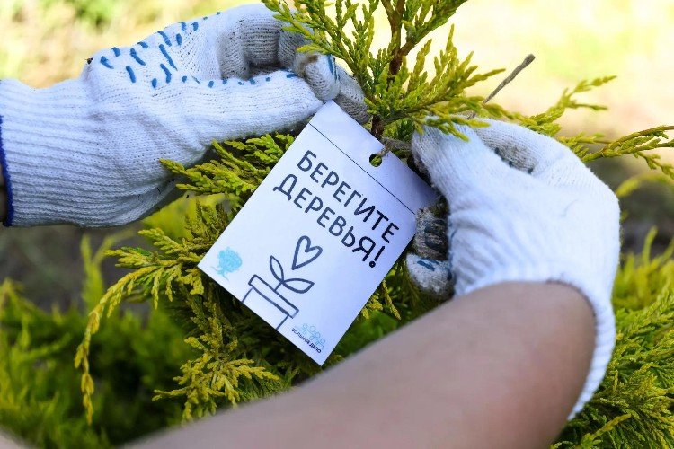 Руки в перчатках и дерево