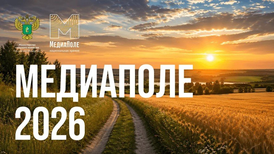 Поле