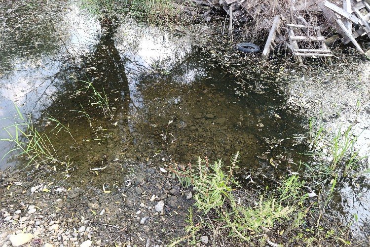 Вода на дачном участке