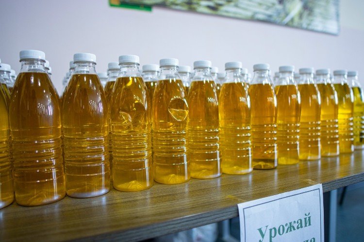 Масло, полученное в 2025 году из урожая, выращенного по проекту «Сеем будущее»