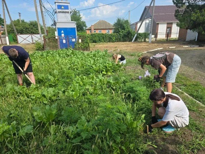 Школьный приусадебный участок