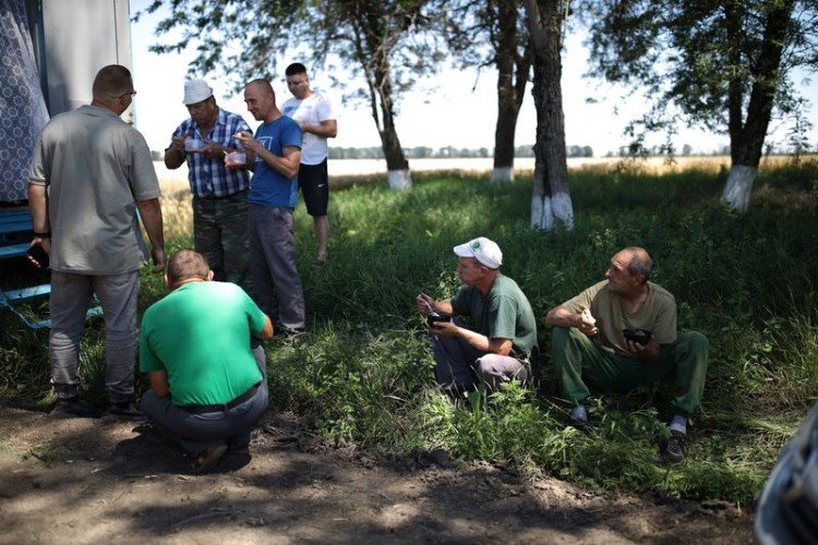 Люди кушают на дороге