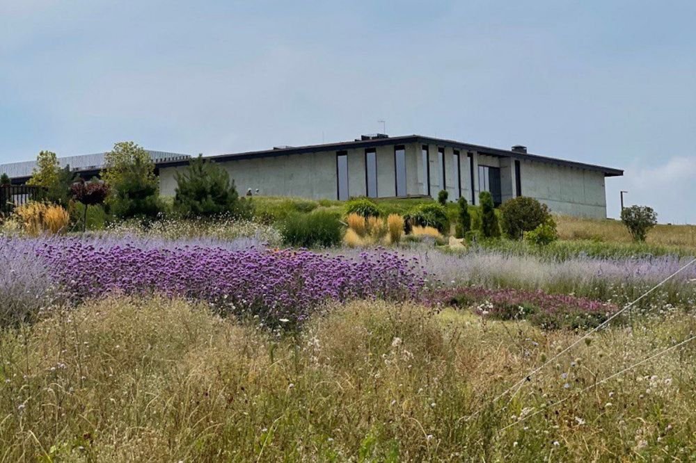 В Анапе после капремонта заработает детский лагерь «Юбилейный»