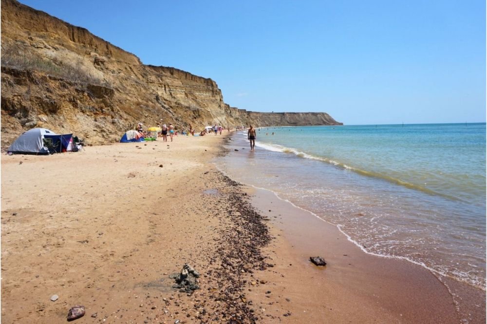 Минприроды Кубани запретило строить на Тамани новый курорт из-за угрозы для птиц