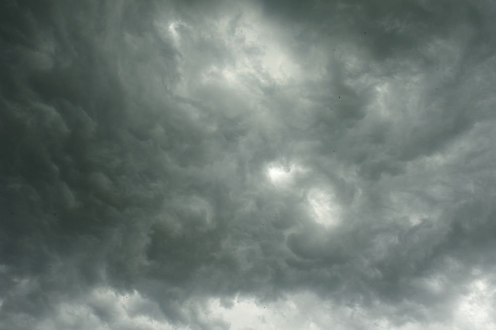 На Кубани туристов попросили не купаться в Черном море