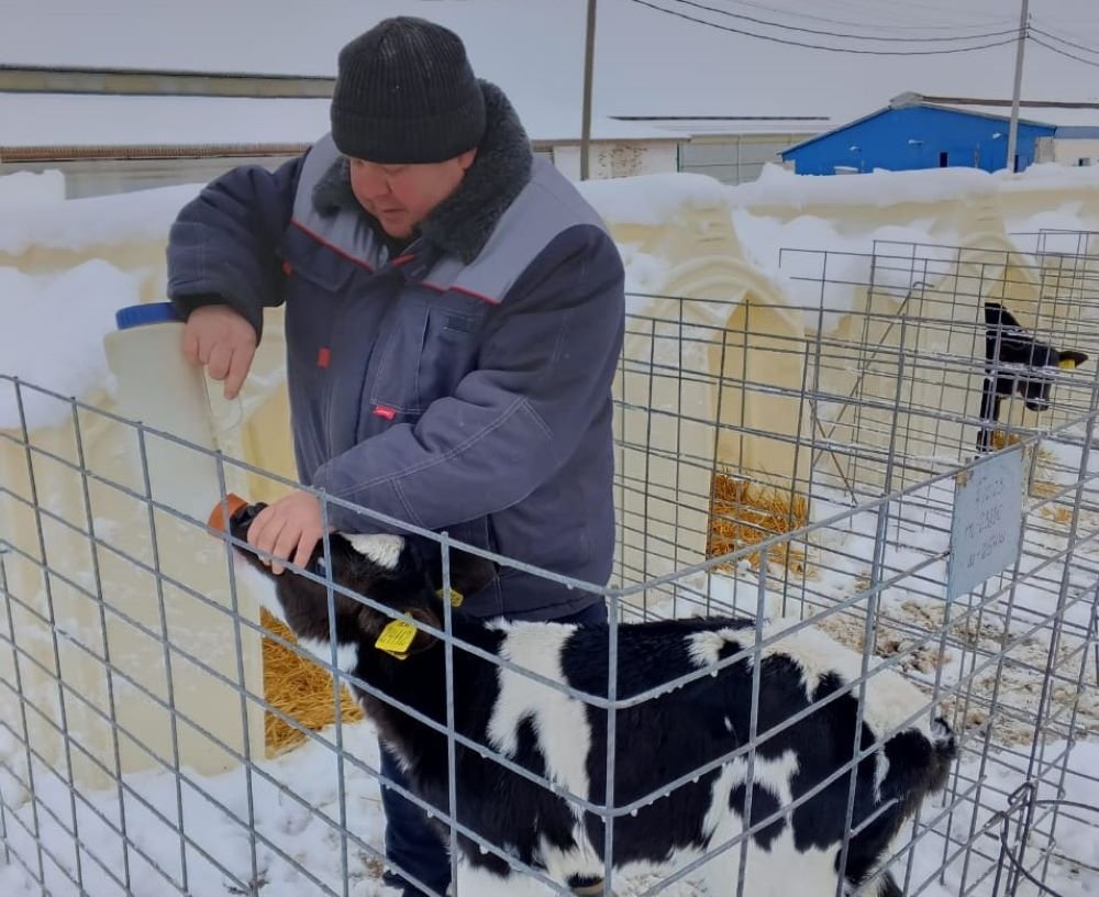 Животновод Игорь Федоров: «Ну как можно их не любить?!»