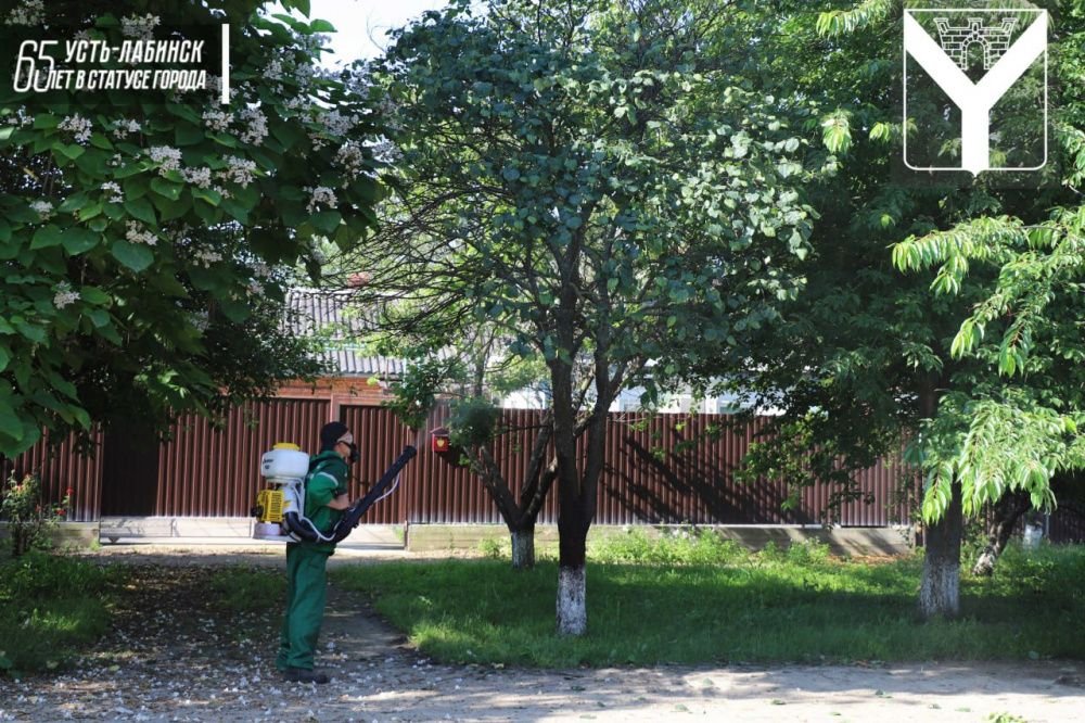 Парки Усть-Лабинска обрабатывают от паразитов