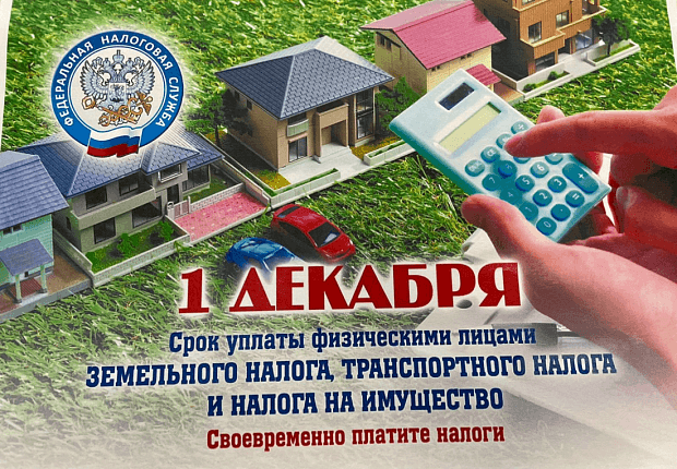 С 10 сентября начнётся ежегодная рассылка налоговых уведомлений.