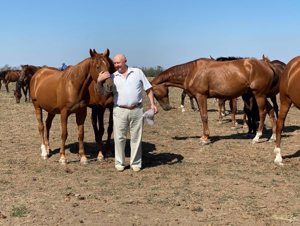 Новокубанск конный завод восход. Конезавод восход новокубанск. Конный завод восход музей. Конезавод новокубанский. Краснодарский край станица конезавод.