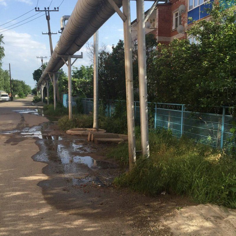 ДОРОГАЯ МОЯ ВОДИЦА…