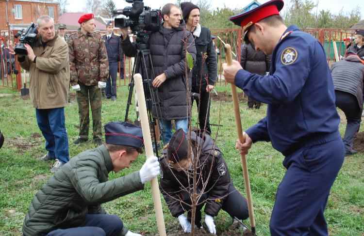 "Сажать деревья приятней", или как в Усть-Лабинске появилась аллея Победителей