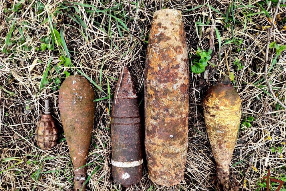 12 боеприпасов времен ВОВ уничтожили взрывотехники Росгвардии на Кубани