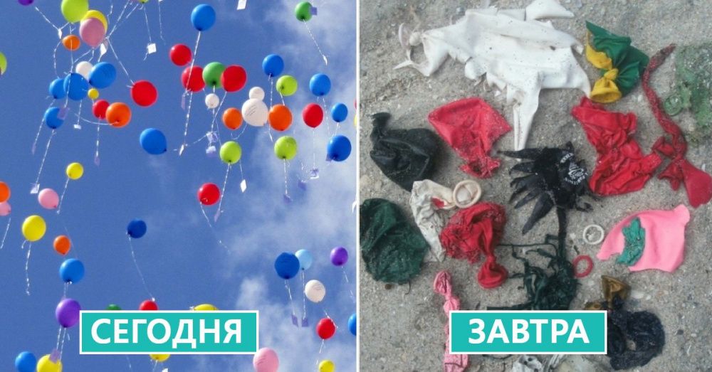 Две усть-лабинские школы продвигают «зеленую инициативу»
