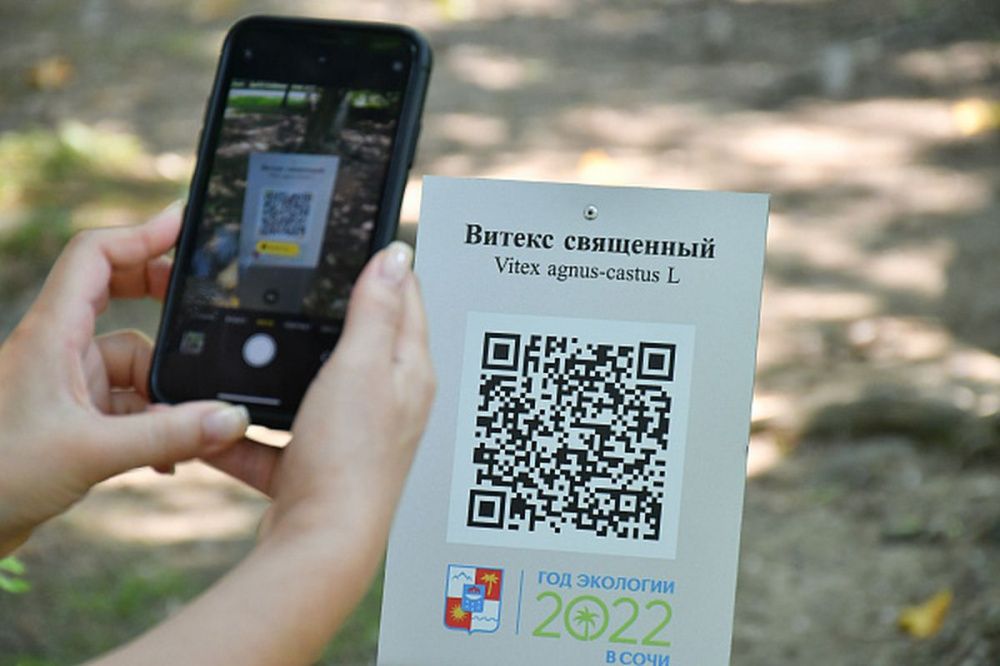 Деревьям-долгожителям присвоят QR-коды в Сочи