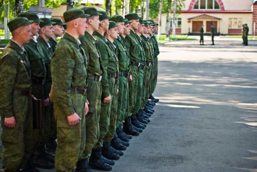 Более семи тысяч кубанцев уйдут в армию в период осеннего призыва