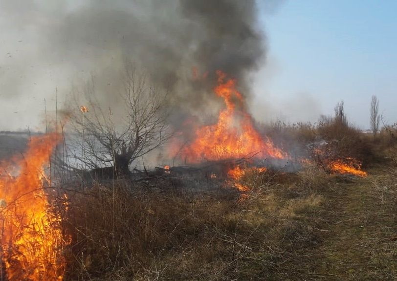 Экстренное предупреждение по пожароопасности объявлено на Кубани