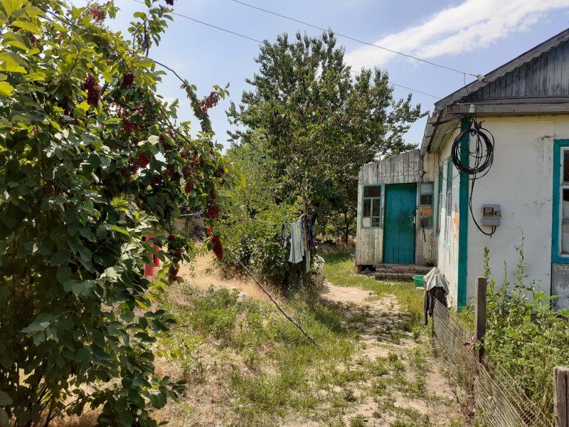 РАСКРЫТО ДВОЙНОЕ УБИЙСТВО В НЕЕЛИНСКОМ