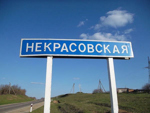 Некрасовское сельское поселение: настоящее и будущее Некрасовское сельское поселение: настоящее и будущее