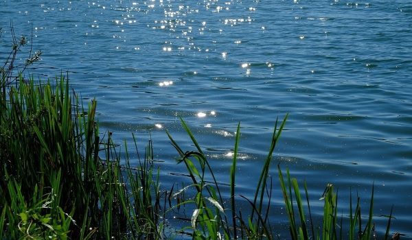 Установлена личность ребенка, утонувшего в Усть-Лабинском районе