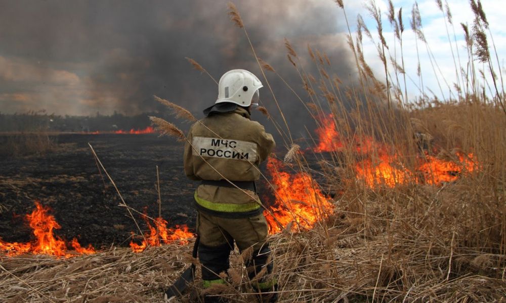 В Усть-Лабинском районе объявили высокий класс пожароопасности