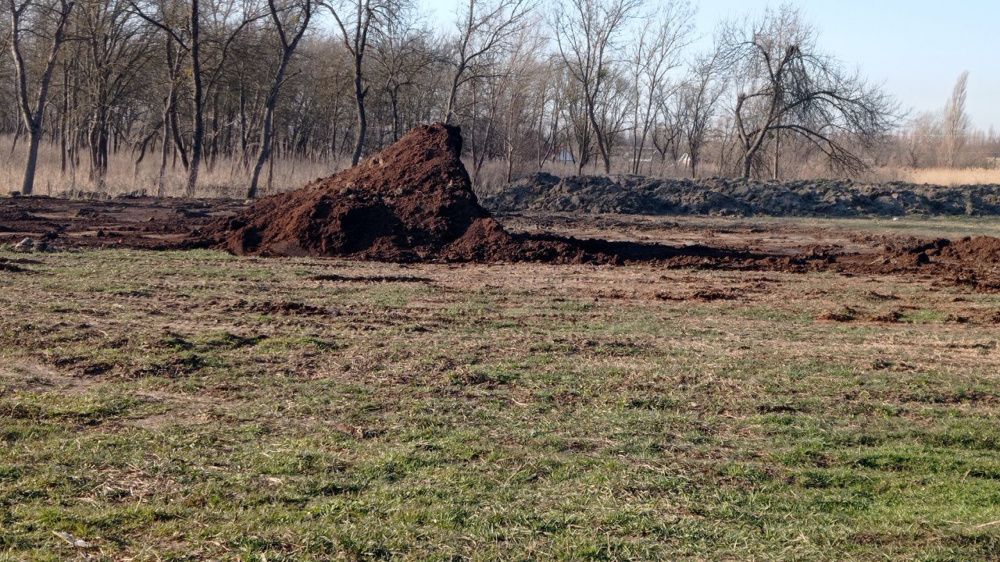 Фермеры Усть-Лабинска смогут взять в аренду лесополосы