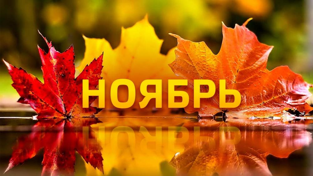 10 вещей, которые нужно успеть сделать в ноябре