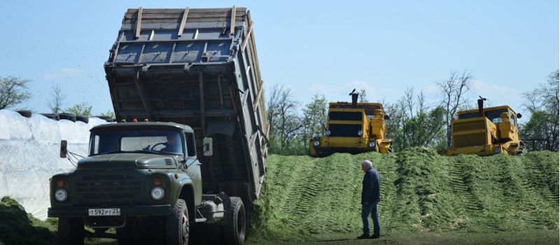 В Кореновском районе начали заготавливать сенаж