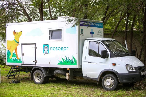 Ветмобиль «Поводог» бесплатно стерилизовал более 600 животных на Кубани
