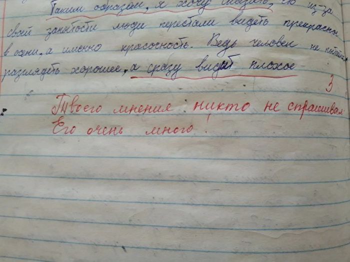 Твоего мнения никто не спрашивал: на Кубани учительница снизила оценку школьнику за сочинение по русскому