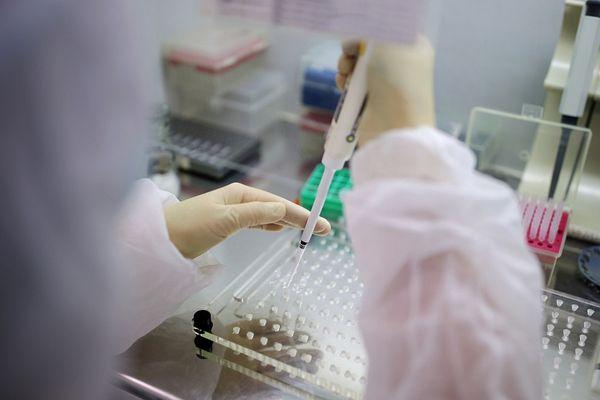 Число пациентов с коронавирусной инфекцией на Кубани достигло 1732 человек