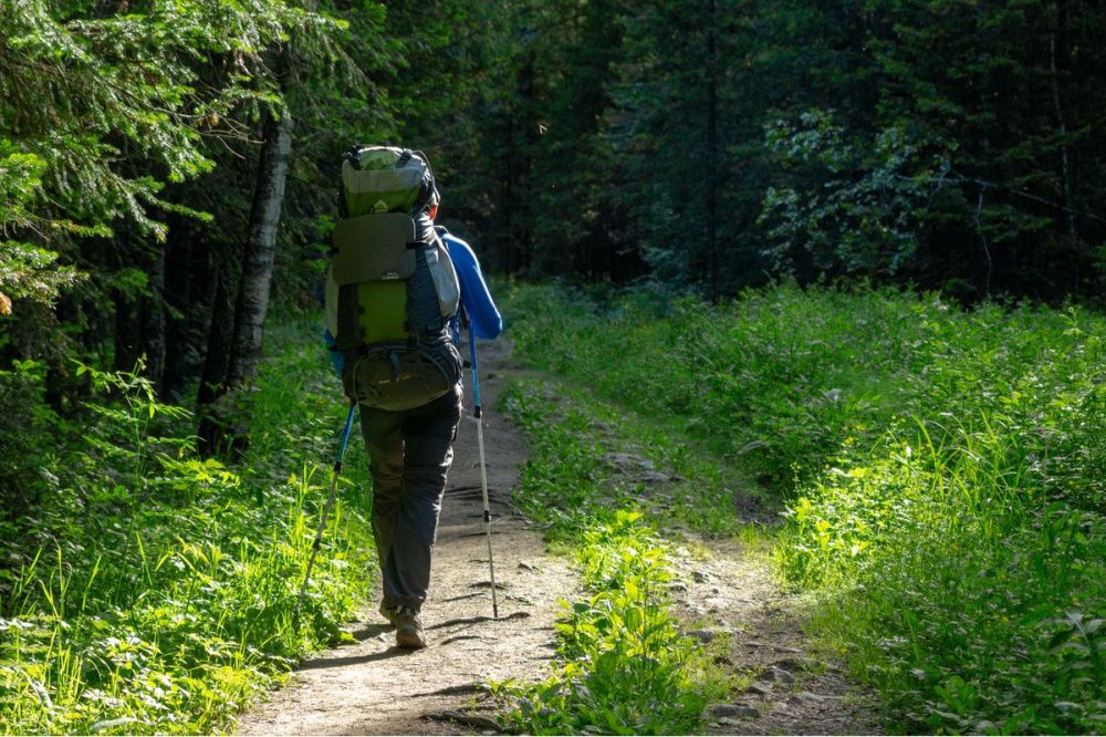 Более 50% кубанцев не планируют пользоваться программой туристического кешбэка