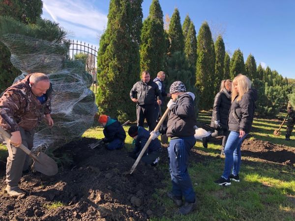 Жители Аргатова посадили в хуторе 30 подросших сосен