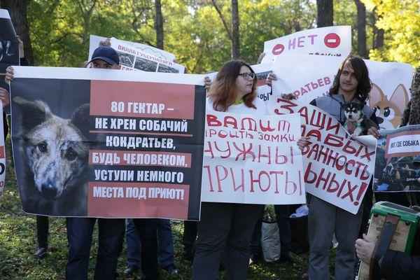 Краснодарских зоозащитников избили после мирного пикета