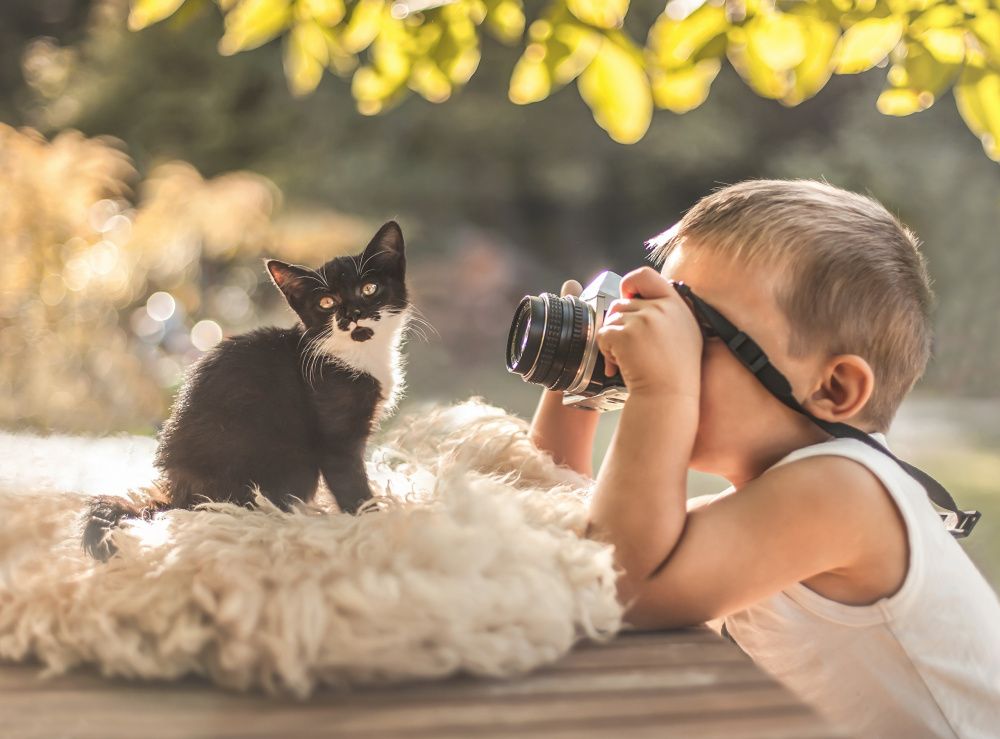 А у нас такая кошка: фотоконкурс стартовал в Усть-Лабинске