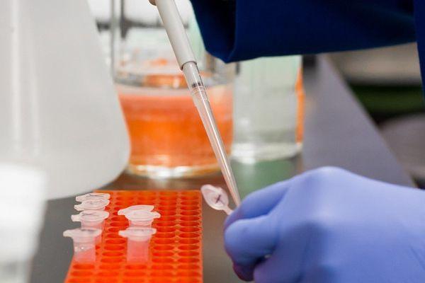 Съедобную вакцину против COVID-19 для детей и стариков начали тестировать в России