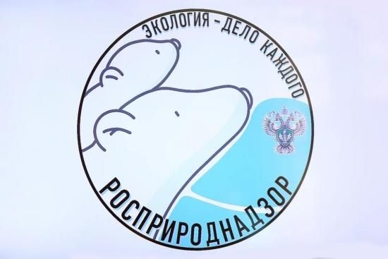 Экология – дело каждого: усть-лабинских школьников приглашают к участию в конкурсе