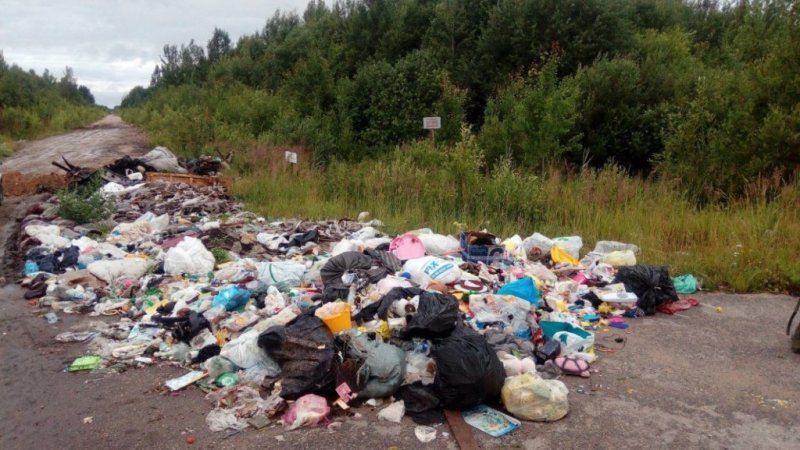 « НУ ВЫ, БЛИН, ДАЕТЕ!..» ИЛИ ДО ЧЕГО ДОДУМАЛИСЬ С МУСОРНЫМ ВОПРОСОМ УСТЬ-ЛАБИНСКИЕ ВЛАСТИ