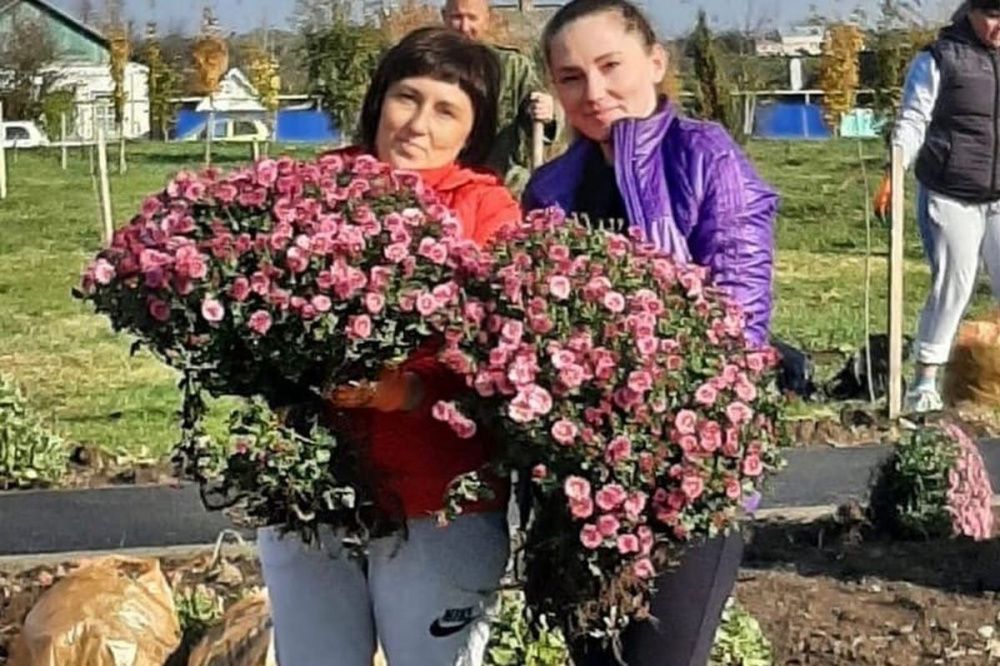 Более 100 кустов цветов высадили в парке хутора Александровского ...