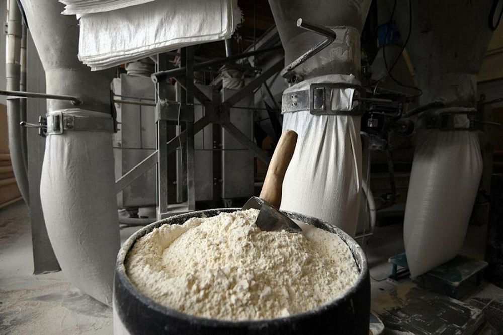 Кубанская компания расширила географию экспорта мукомольной продукции