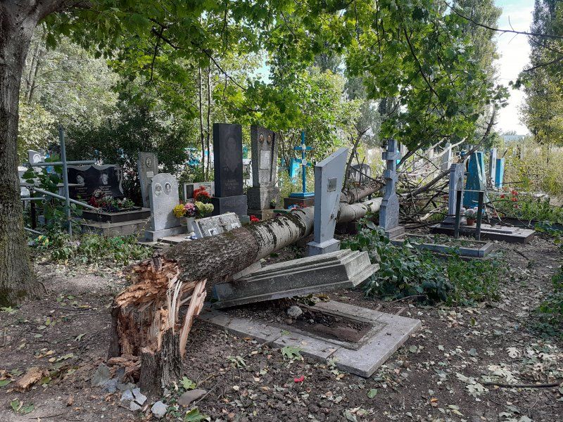 НА УСТЬ-ЛАБИНСКОМ КЛАДБИЩЕ УПАВШИЕ ДЕРЕВЬЯ СЛОМАЛИ НАДГРОБЬЯ
