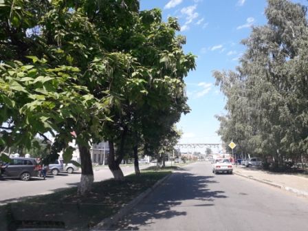 В СТАНИЦЕ ВСЕ СПОКОЙНО, НО...
