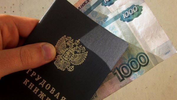Жительница Кирпильской обвиняется в мошенничестве при получении выплат