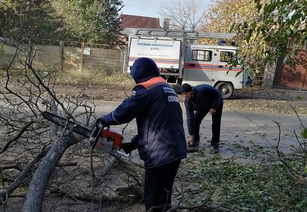 В усть-лабинском детском саду избавились от опасных деревьев и веток