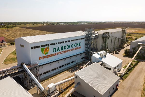 «Ладожские» представят на испытаниях 25 гибридов кукурузы