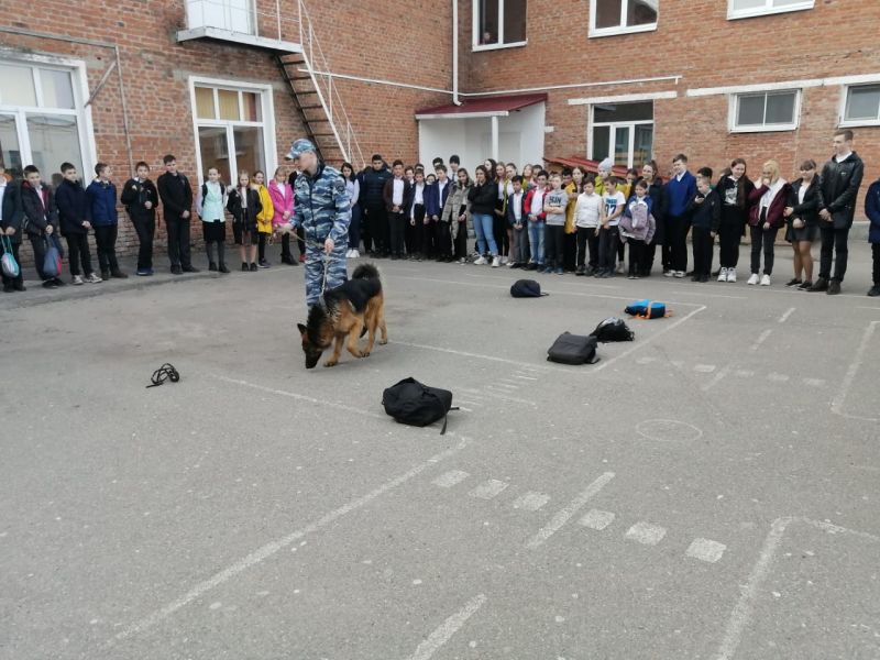 Усть-лабинские кинологи познакомили школьников со служебными собаками