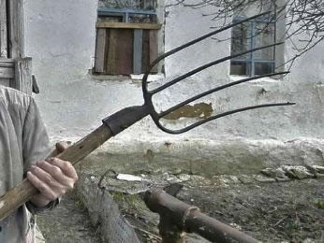 В Болгове бывший зэка ранил вилами организатора застолья