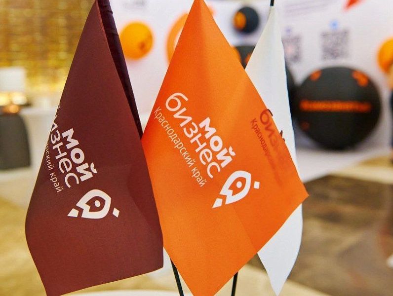 На Кубани проведут День самозанятых