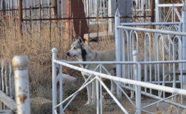 Жительница Усть-Лабинского района обвинила правоохранителей в сокрытии убийства