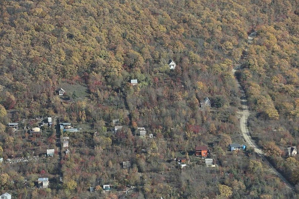 123 незаконные постройки снесли в лесах Кубани с начала года